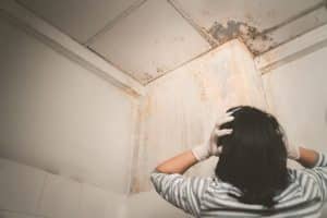 woman with hands on her head in concern after seeing water damage in home, Auburn Hills water damage restoration